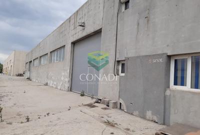 Zona DNCB Clinceni De inchiriat Hala C1 - 14