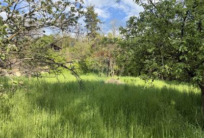 Teren de vânzare in Voinesti / Leresti înconjurat de natura - 14