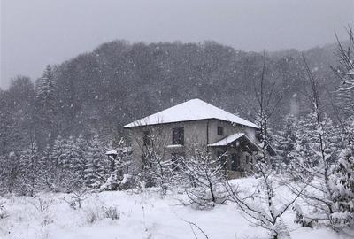 Casa moderna in mijlocul naturii cu lac, Cheisoara - 9