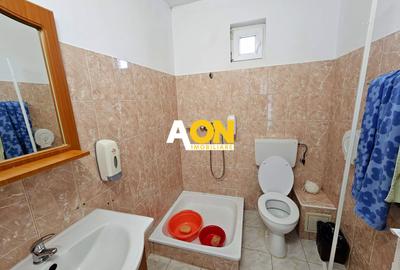 Casa 10 camere, 878 mp teren, toate utilitatile, Barabant - 21