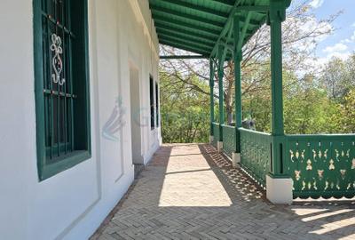 Conac de vanzare in Bihor, restaurat, la 40 km de Oradea, Romania - 5