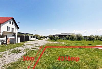 Sanpetru teren pentru dezvoltare imobiliara 4318mp, 55 euro/mp - 2
