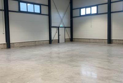 Hala industriala 500 mp + birouri, 1398 mp teren, acces TIR - Giarmata Vii - 29