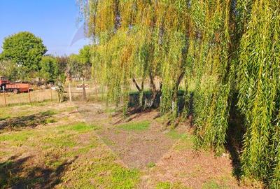 Teren intravilan 6850 mp Simnic, Izvor - 4
