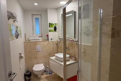 Apartament de inchiriat 2 camere Universitate - 11