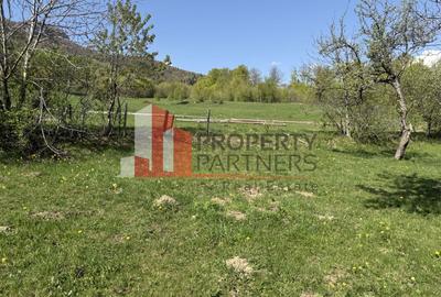 Terenuri Bran - Predelut  Priveliște către Bucegi și Postăvaru - 6