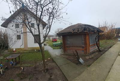 Delta Dunarii - Ilganii de Jos - casa cu deschidere la Dunare - 11