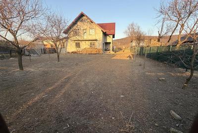 Vilă în Pătrăuți + 8400mp teren - 2