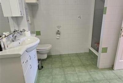 Vila P+1 - 5 camere - 190 mp - Berzei - 2