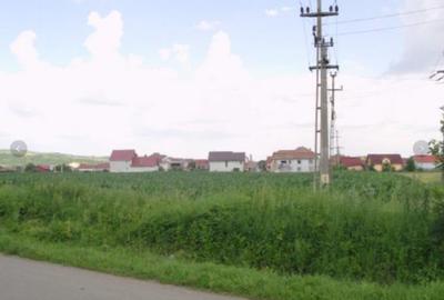 Teren Construcții intravilan de 27700 mp, în Iernut - 4