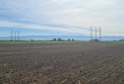 TEREN EXTRAVILAN LANGA FABRICA DE CHERESTEA Holzindustrie Schweighofer - RECI - 8