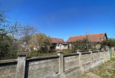 Casă tradițională la sat +teren 1.500 mp. Sat  Săbolciu-49000 euro neg - 8