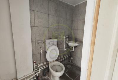 Casa 3 camere, teren 100 mp, cartier Brestei, zona Podul Viorele - 11