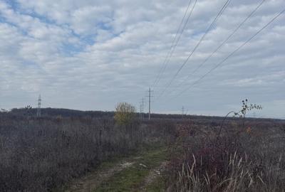 Targoviste - Teren 10ha - Posibilitate investitii - Parcelare - 3