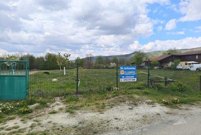 Teren mixt de vânzare Crasna Gorj, aproape de Rânca– 19.209 mp - 4