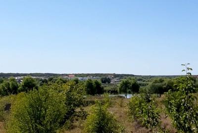 Teren de vanzare la Lac, Corbeanca - 8
