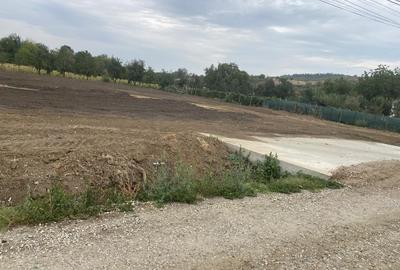 De vanzare teren intravilan 5416 mp Calinesti, Judet Arges, 19 euro/mp neg - 1