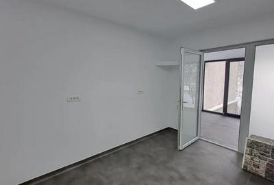 Spatiu Sad de inchiriat in apropiere de Iulius Mall - 17