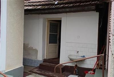 Casa individuala de vanzare in Berzasca, jud. Caras-Severin - 26