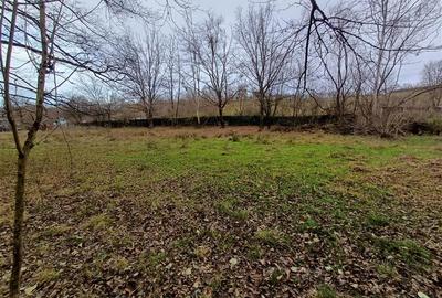 Resita, Teren Drept Intravilan, Langa Prau si Drum, Parcelabil, 4500 Mp., 15 Eur - 17