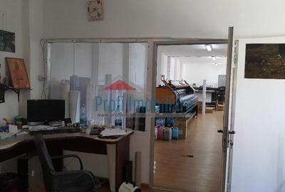 Teren de 1000 mp cu Hale de 600 mp  - SPATII COMERCIALE - 9