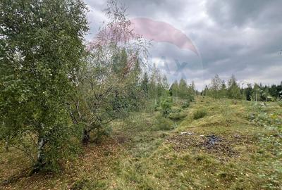 Teren extravilan parcelabil Călățele Pădure, zona Dealu Negru - 9