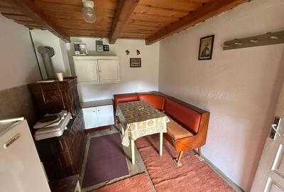 Casa de vacanta de vanzare pe Valea Lotrioarei - 8
