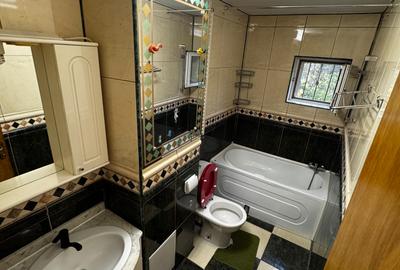 Tineretului -parc-centrala proprie - 10