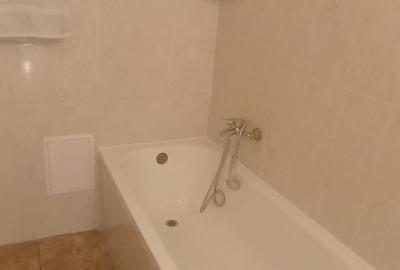 Apartament4 Camere,B-dul Unirii,DUPLEX,Amenajat,2 bai,2terase,Pretabil Firma - 19