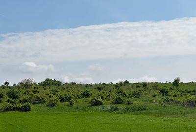 Teren Extravilan de Vanzare, zona Episcopia, Oradea, judetul Bihor - 1