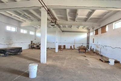 Spațiu industrial, în Sânnicolau Mic