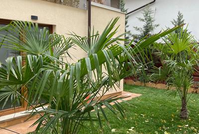 Comision 0/Apartament 3 camere/Curte proprie - 1