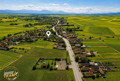 FILM! Casa personalizabila +2.700mp teren,pomi fructiferi,langa Sfantu Gheorghe: - 1