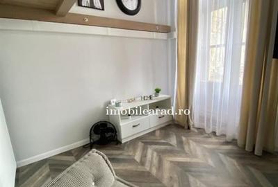 Apartament 60 Euro pe zi, amenajat in stil unic langa Primaria Arad - 17