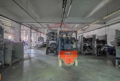 De vanzare spatiu industrial in Turnu Magurele - Teleorman - 29