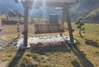 Vindem urgent 1035mp teren intravilan in Rau Sadului ,  SIBIU - 12