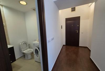 Inchiriere Duplex 2 Camere cu Gradina Iancu Nicolae - 11