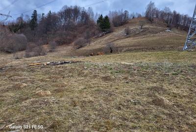 Teren, Zona de Interes Turistic-Cheile Gradistei,  8800mp - 7