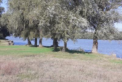 OCAZIE : INTRAVILAN com. MURIGHIOL - 19 euro/m.p. Deschidere Dunare  74 m. - 14