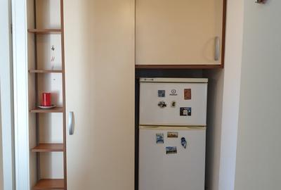 Apartament 2 camere Clucerului / Herastrau - 11