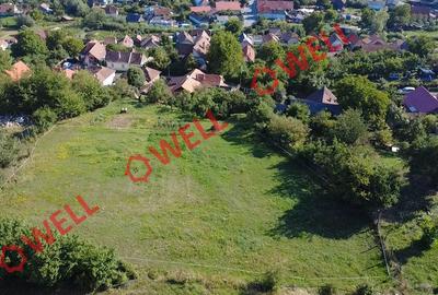 Teren intravilan de vânzare în Sfântu Gheorghe, str. Pădurii - 6