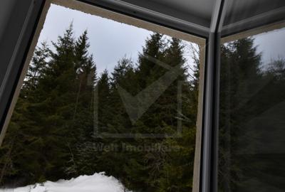 Cabana de vanzare in Muntele Baisorii aproape de partie - 9