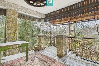 Casă P+E+M cu teren 8163 mp – Roșia Nouă (Petriș) - 7