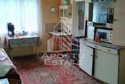 Casa batraneasca de vanzare, 4 camere, in Hunedoara, sat Micanesti - 18
