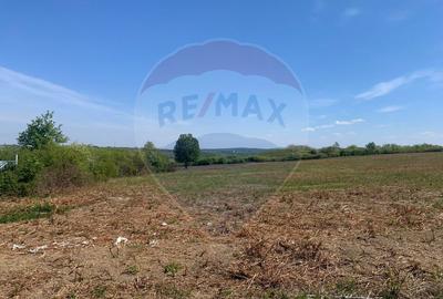 De vânzare teren intravilan 1,955mp , Paleu - 3