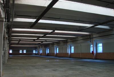 Hala industriala 4850 mp, 2000000 euro - 4