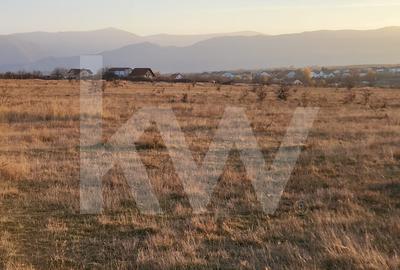 Oportunitate investiție | De vânzare, 3 parcele de 560 mp. - 5