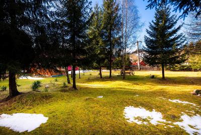 Cabane cu 10 camere Arieseni - 20