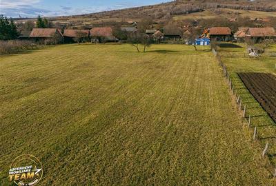 FILM! Casa si anexe, pe domeniu de 6.221mp,  livada pomi fructiferi, Lemnia, Cov - 36