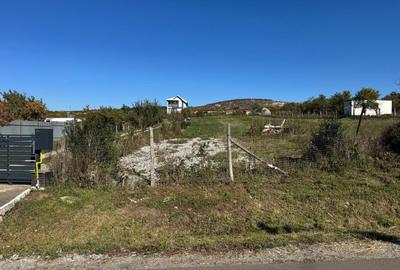 Teren Construcții intravilan de 3000 mp, în Betfia